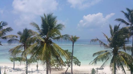 Hathaa Beach Maldives - 22