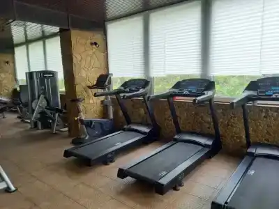 Классик - 1