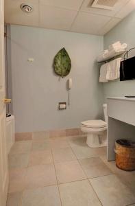 Senator Inn & Spa - 101