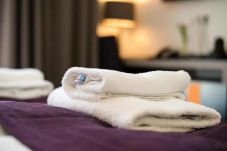 Goethe Business by Trip Inn - 29
