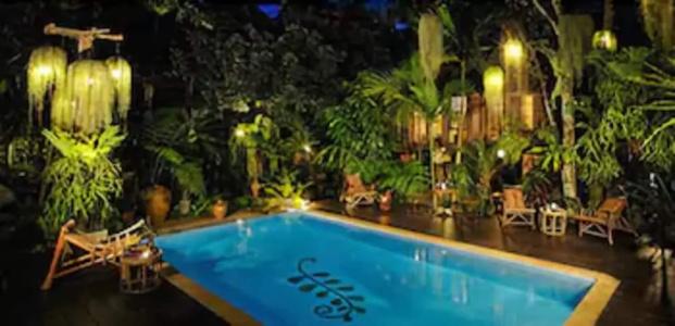 Fern Paradise - 8