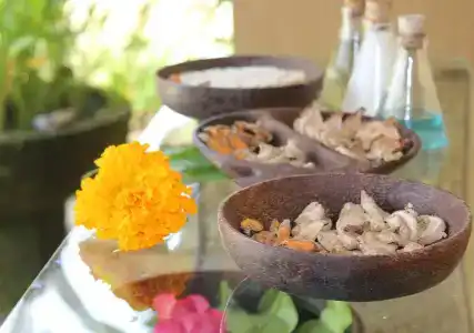The Sungu Resort & Spa - 4
