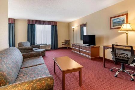 Wingate by Wyndham - 85