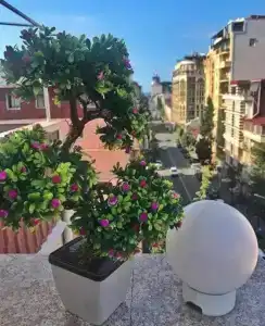 Elio Inn - 16