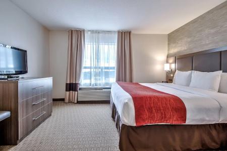 Comfort Inn & Suites South - 47