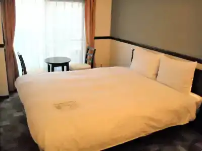 Toyoko Inn - 28