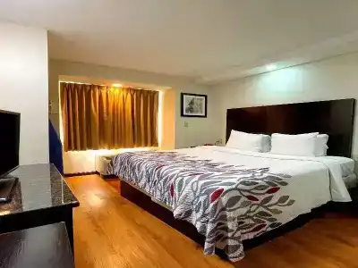 Quality Inn & Suites Fort Gordon - 42
