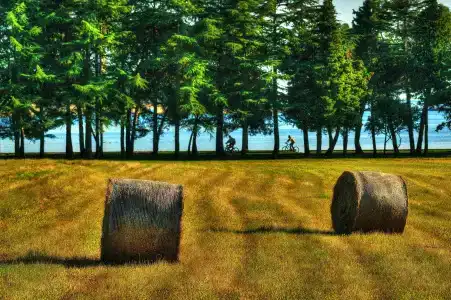 Rivalmare Boutique - 17