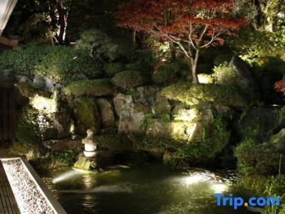 Shiraishiya - 12