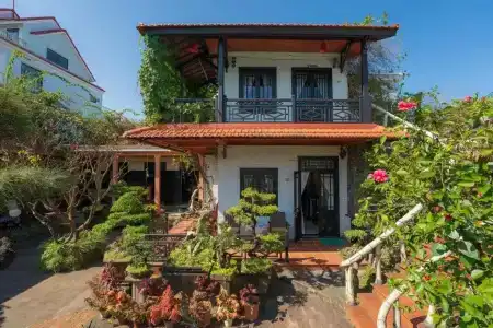 Betel Garden - 47