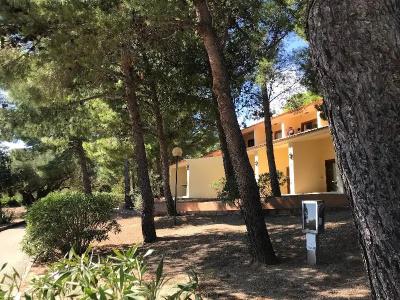Club Esse Palmasera - 46