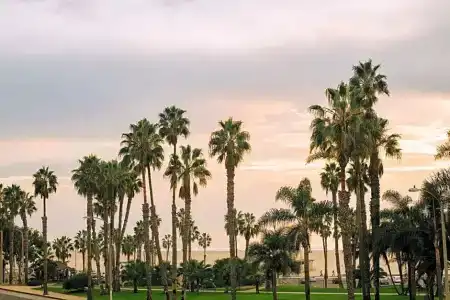 Bayside - 55