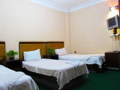 Arabian Nights Hostel - 5