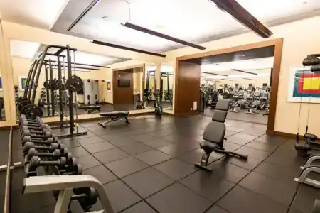 The Ritz-Carlton, - 10