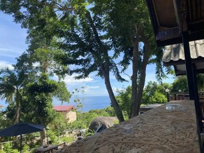 Majestic Sea View Koh Tao - 39