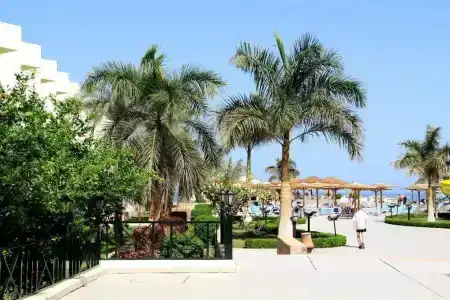 Palm Beach Resort Families and Couples only - 16