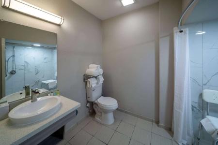 Microtel Inn and Suites by Wyndham / Shreveport - 46