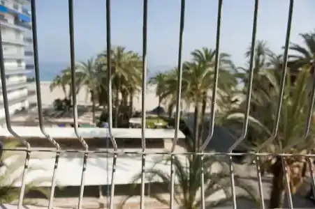 El Palmeral - 70