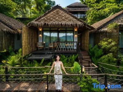 Khaosok Boutique Camps - 24