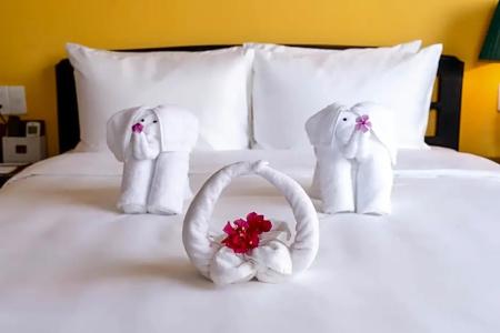 Lotus Hoi An Boutique & Spa - 30