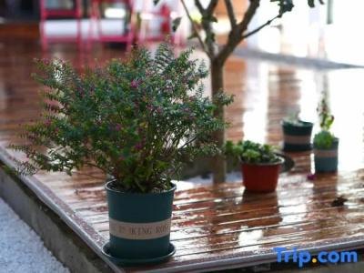 Orchid Residence Suratthani - 184