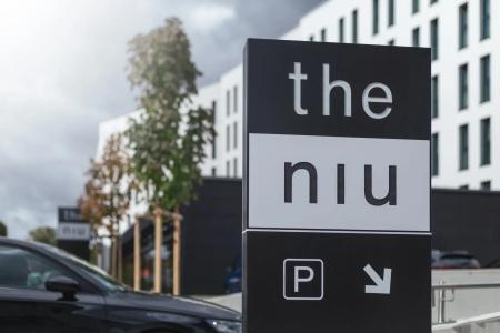 the niu Kettle - 9
