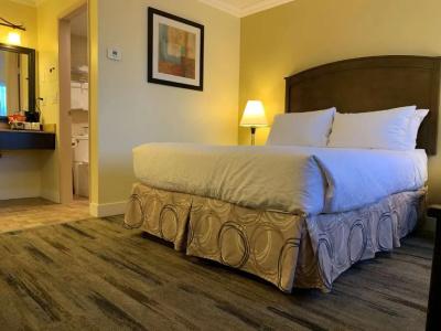 Best Western Plus - 57