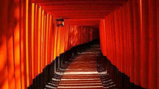 Yadoya Kyoto Shimogamo - 63