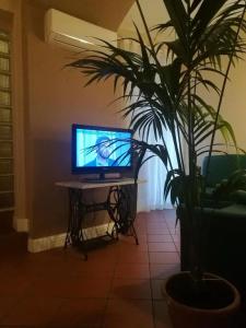 Bed & Breakfast Morelli 49 - 72