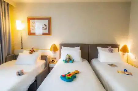 Hôtel Novotel Valenciennes - 41