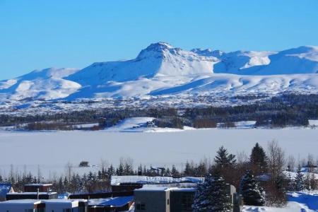 Icelandic - 45