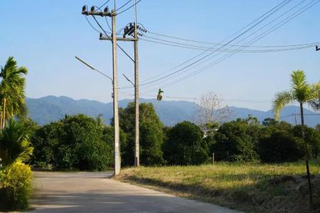Green Terrace Resort - 29