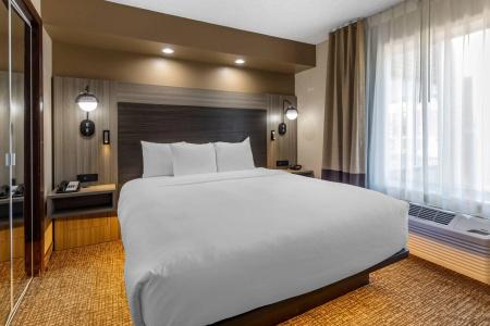 Comfort Inn & Suites North Dallas-Addison - 58