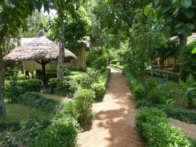 Nature Safari - 8