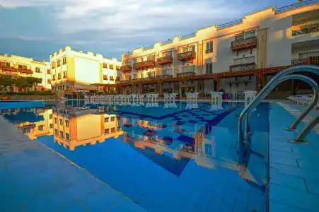 Falcon Naama Star - 13