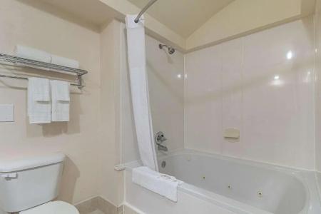 Quality Inn & Suites West Chase - 34