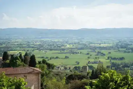 Belvedere - 59