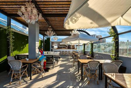 Mariposa Malaga - 14