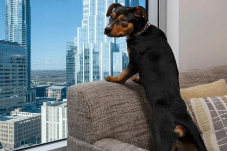 Element Austin Downtown - 40