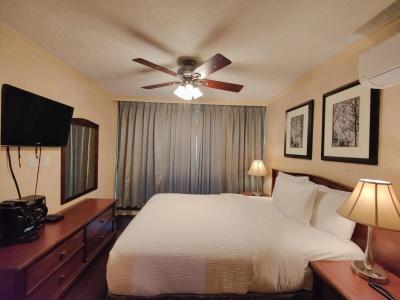 Divya Sutra Suites on Robson Downtown - 5