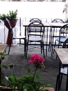 Albergo Giovanni Da Verrazzano - 15