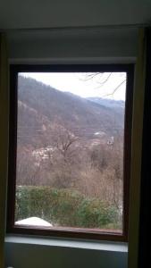 Guest House Alfa Daniel - 24