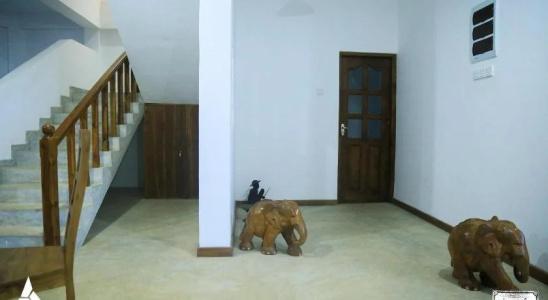 Maison D'hotes Sanda Beach - 11