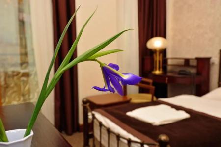 Boutique Villa Mtiebi - 75