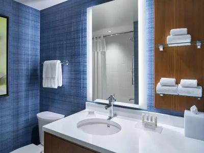 Residence Inn by Marriott Washington Downtown/Convention Center - 48