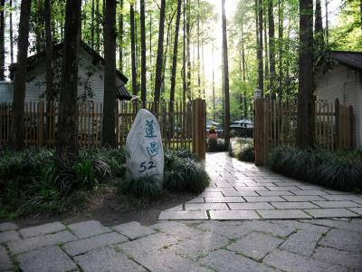 Lotus Glade - 1