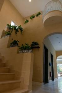 The Carob Tree b&b - 15