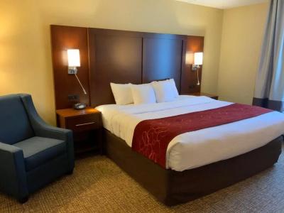 Comfort Suites North - 41
