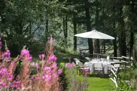 Saint Hubertus Resort - 36