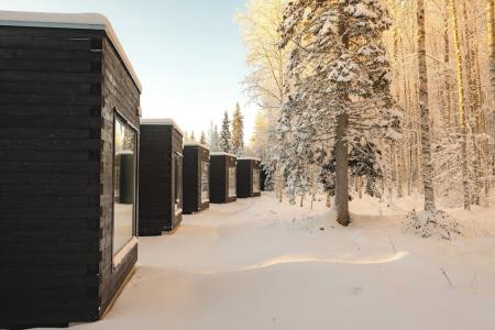 Arctic Circle Wilderness Lodge - 25